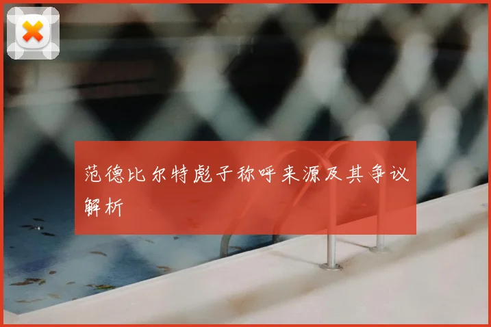 范德比尔特彪子称呼来源及其争议解析