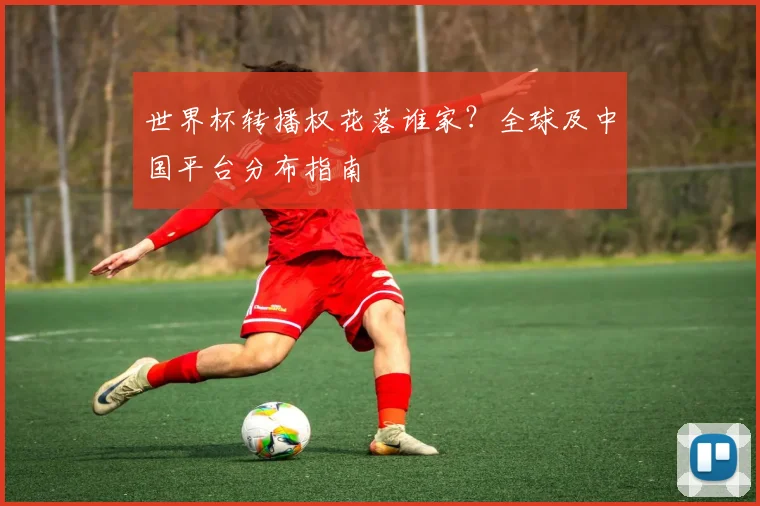 世界杯转播权花落谁家？全球及中国平台分布指南