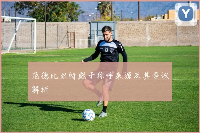 范德比尔特彪子称呼来源及其争议解析